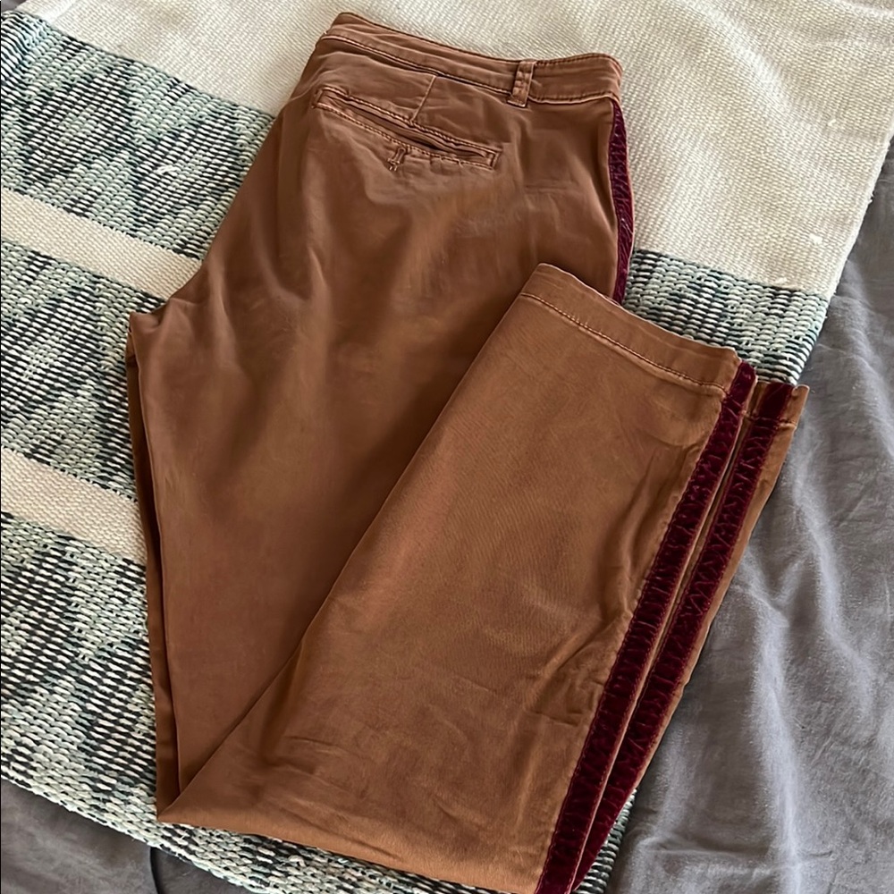 Anthropologie Chino